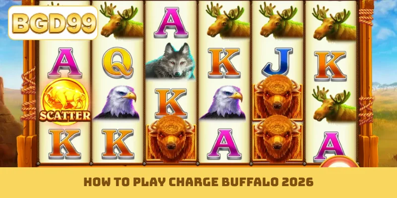 How to play Charge Buffalo