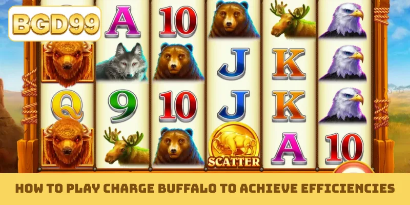 How to play Charge Buffalo to achieve efficiencies