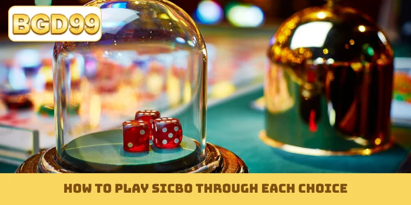 How to play Sicbo through each choice