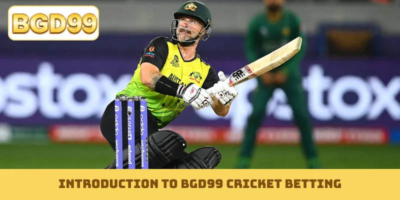 Introduction to BGD99 cricket betting
