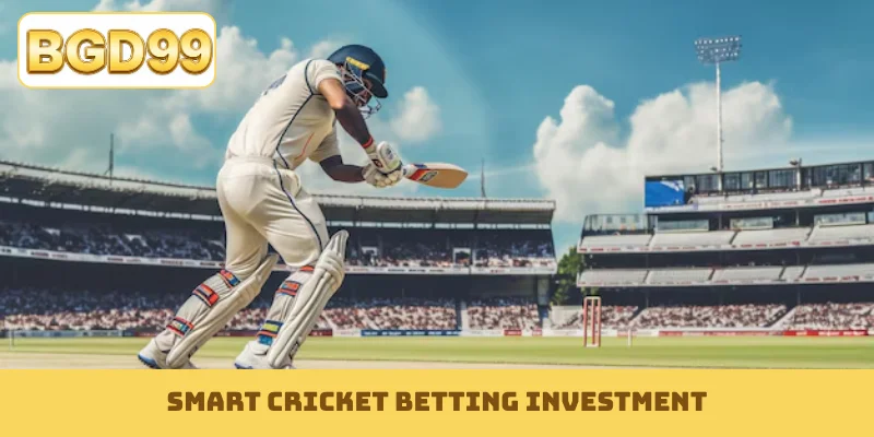 Smart cricket betting investment