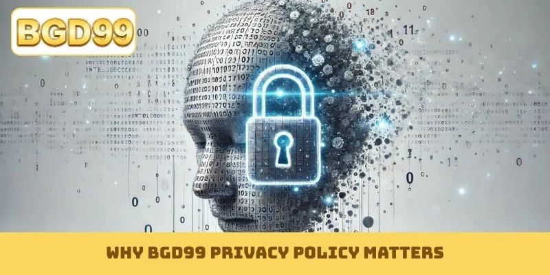 Why BGD99 privacy policy matters?